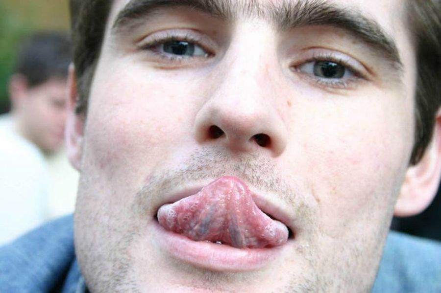 lengua