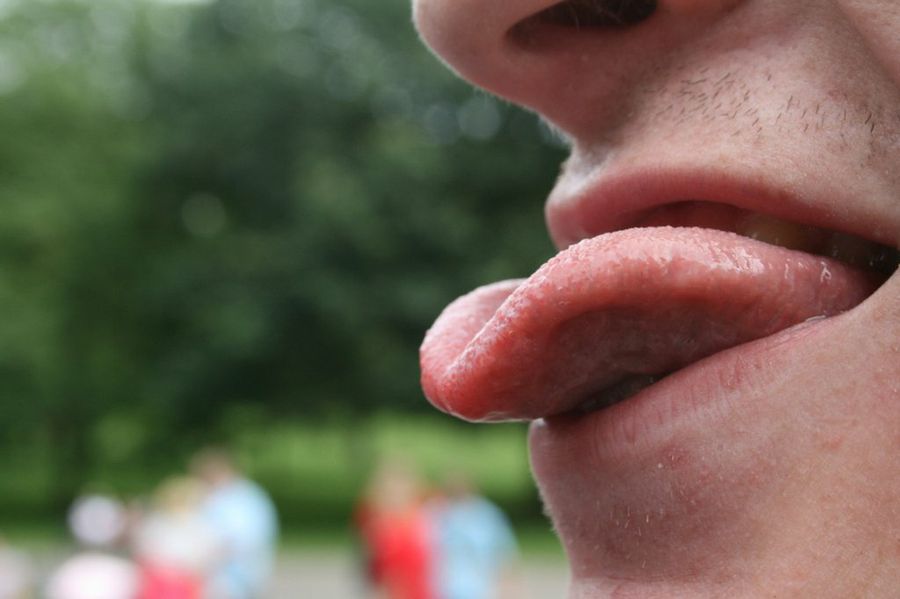 lengua