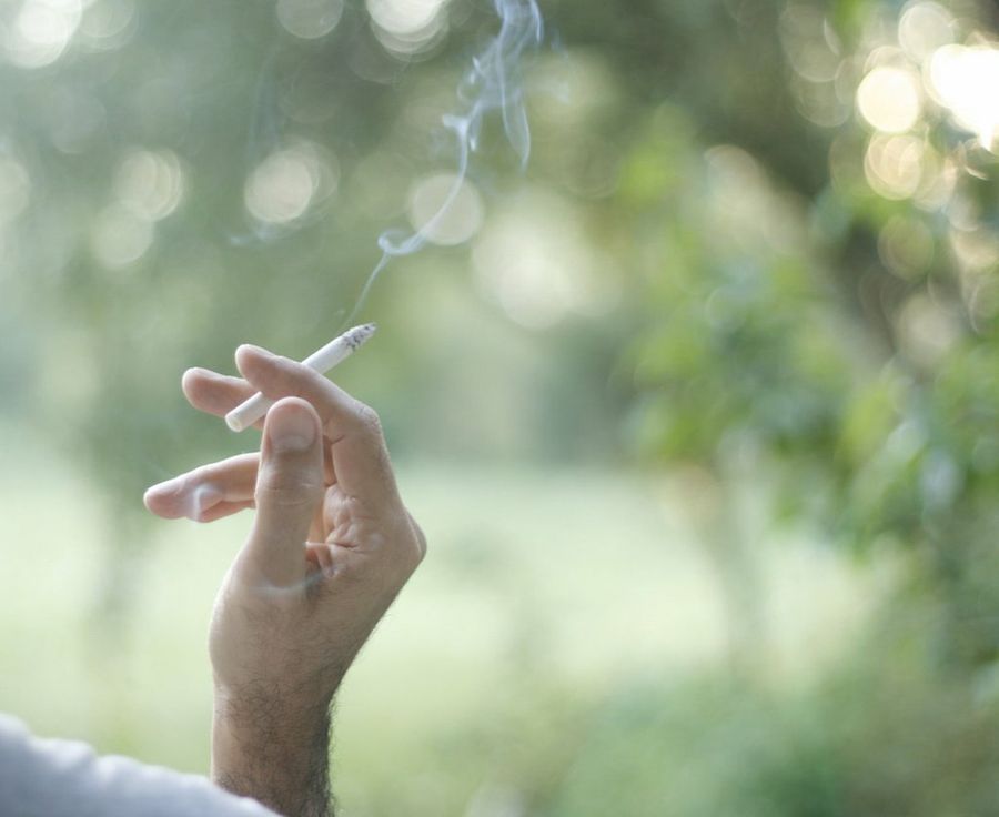 tabaco