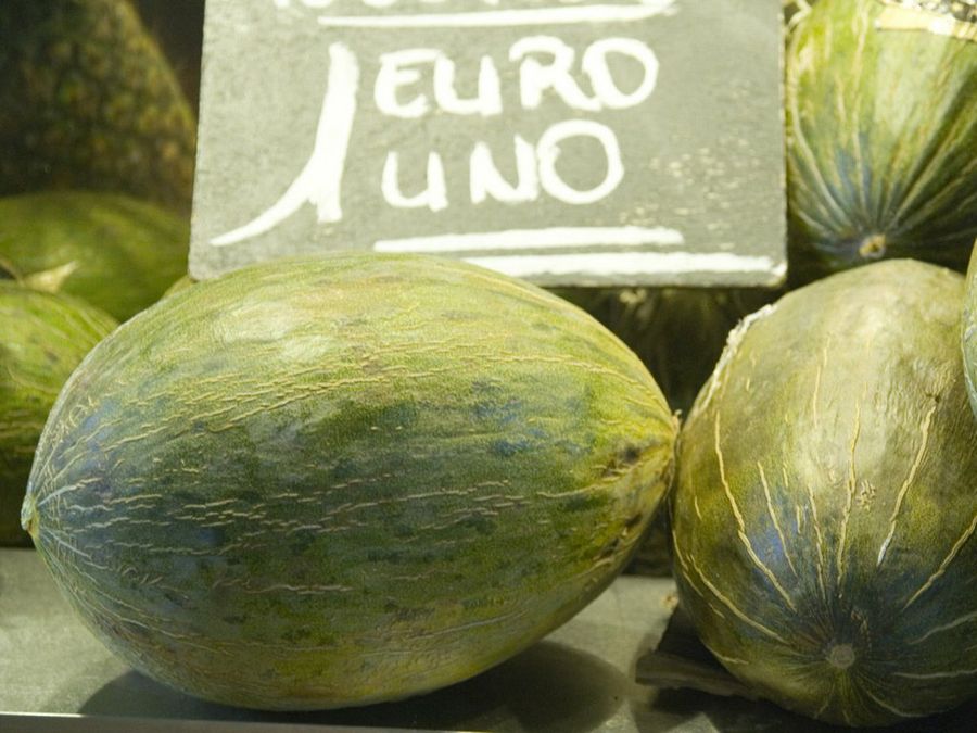 melón