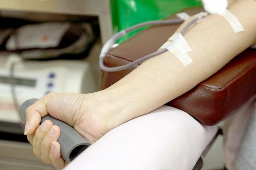 transfusión de sangre