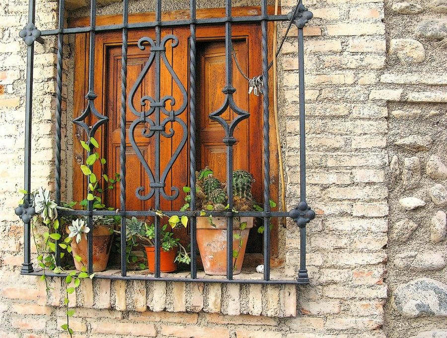 Imagen 2