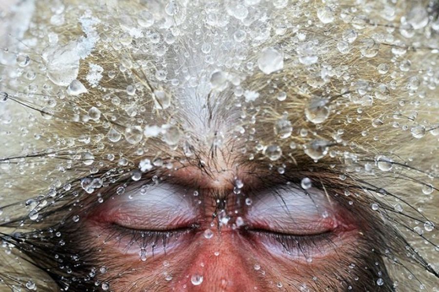 Las fotografías ganadoras al premio fotógrafo viajero del año 2013