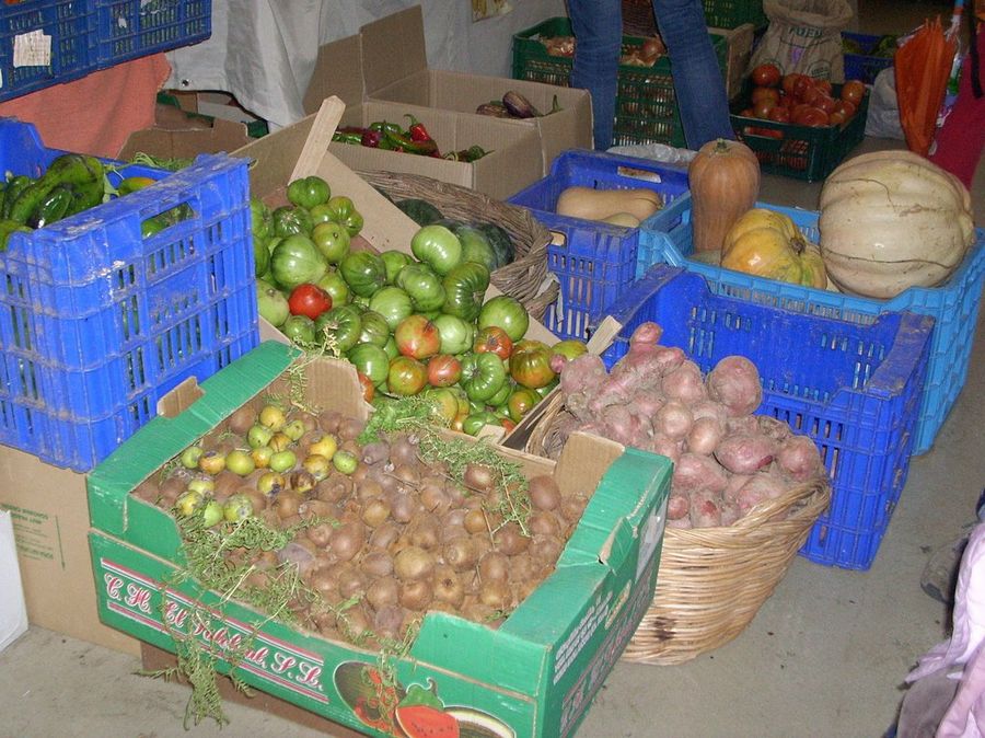 Verduras y hortalizas