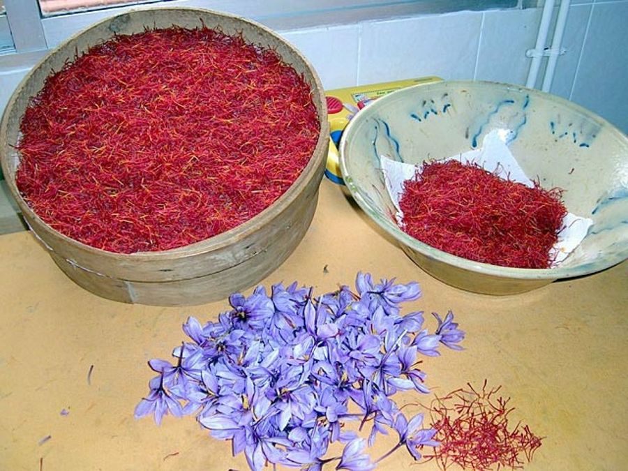 Azafrán