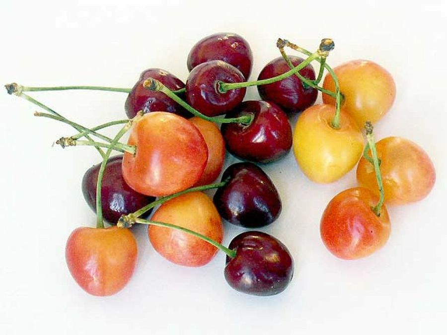 cerezas