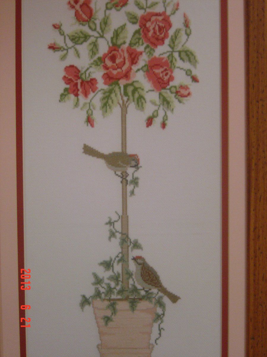 Imagen 2