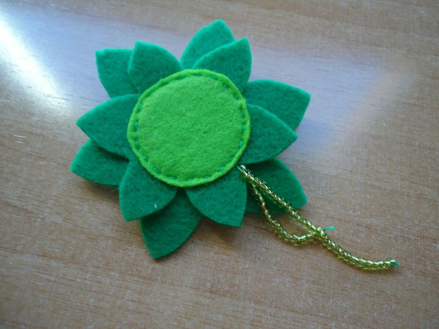 Imagen 5
