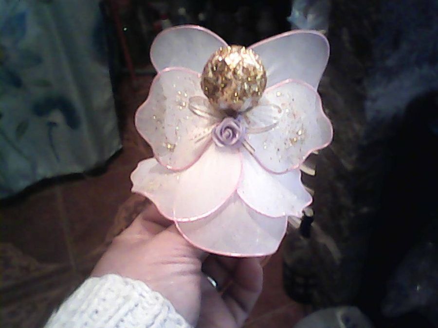 Imagen 2