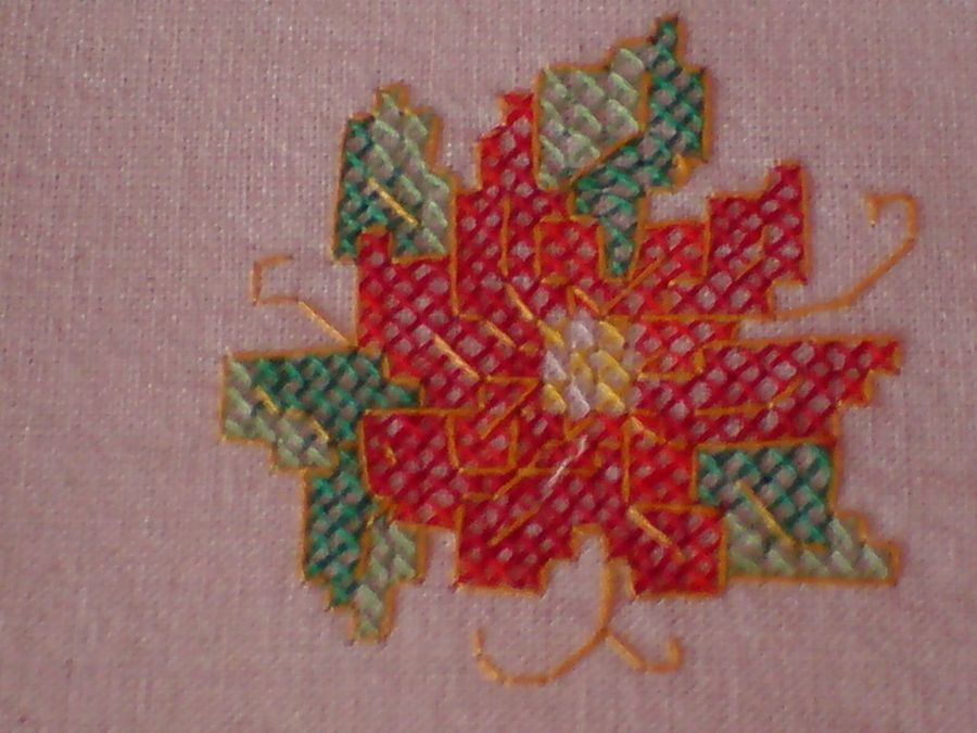 Imagen 2