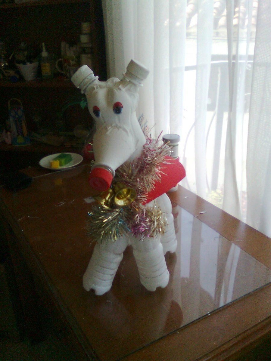 Imagen 6