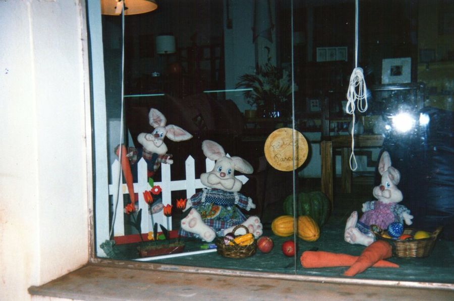 Imagen 2
