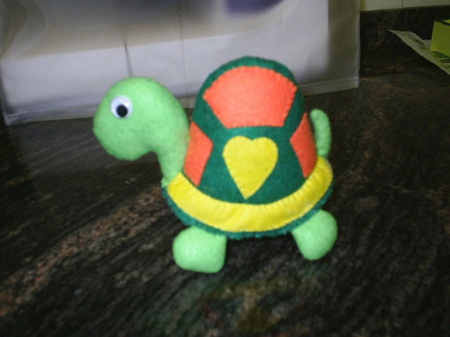 tortuga