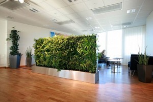 Jardines verticales: sorprendentes beneficios y lindas decoraciones