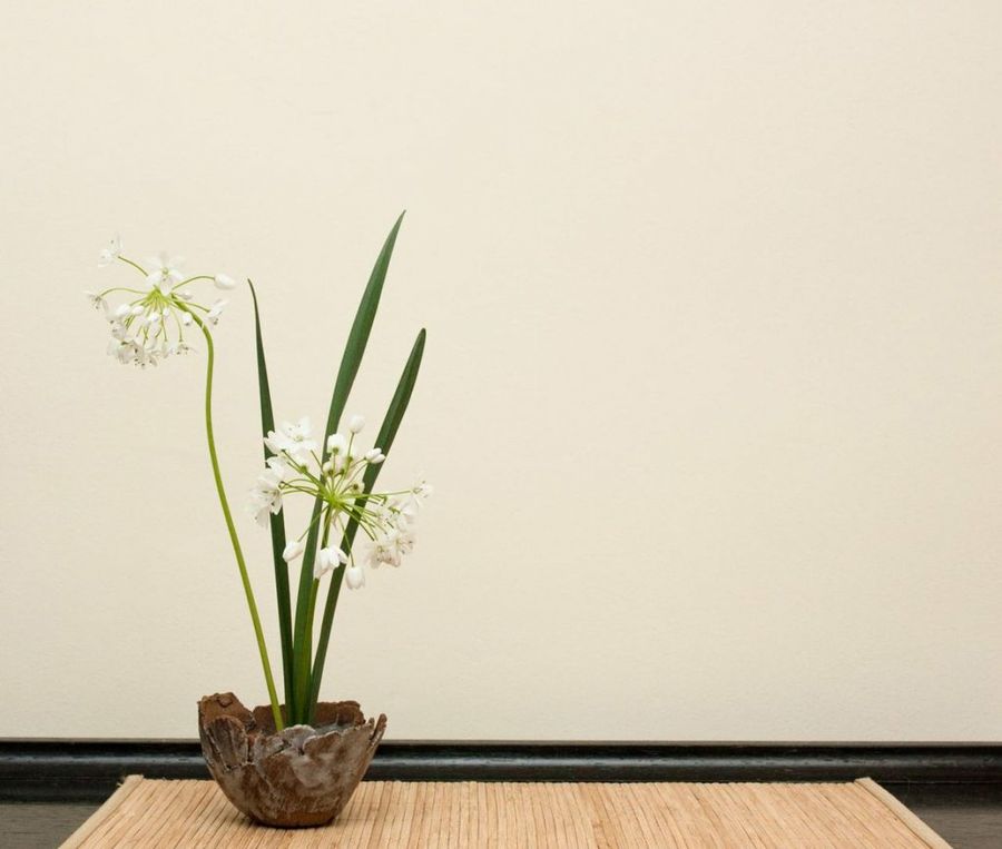 Ikebana