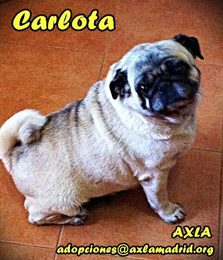Imagen 3