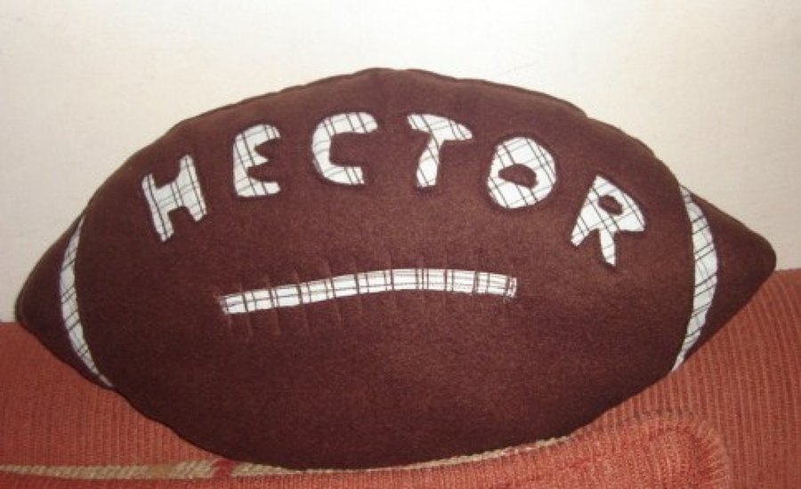 Visor