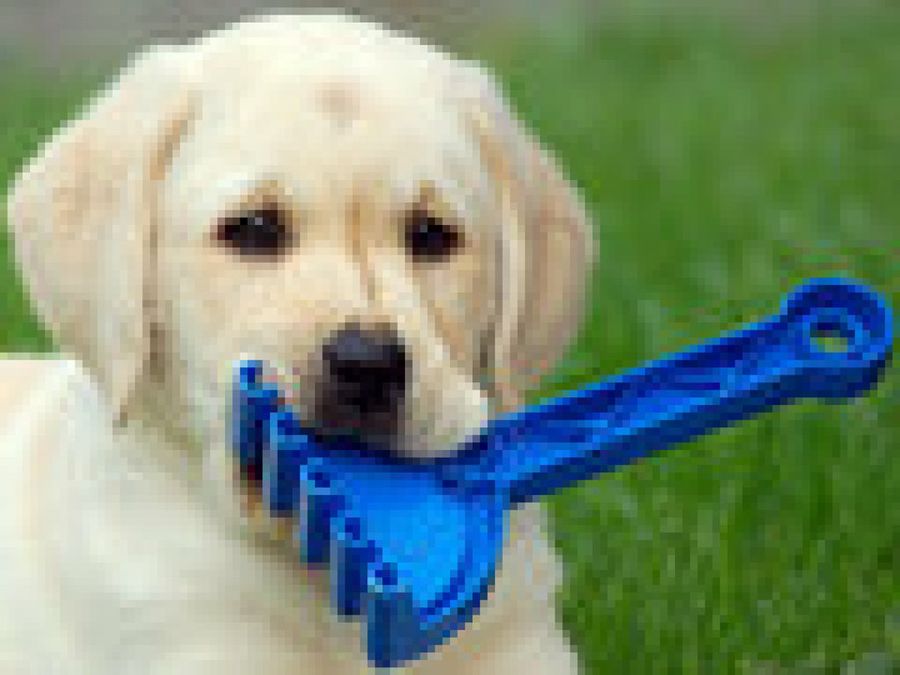 cachorro juguete