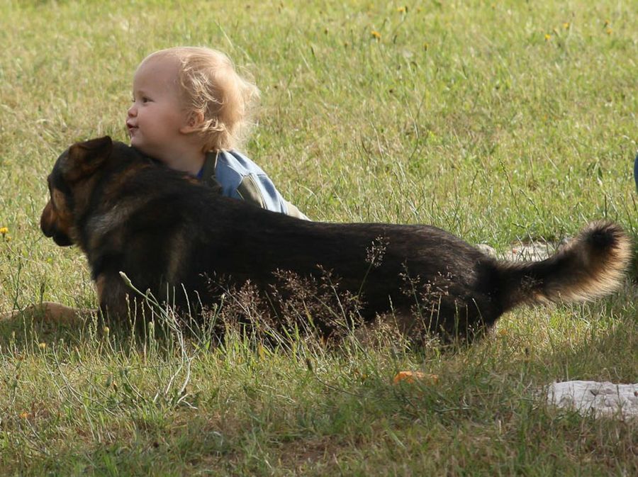 perro y bebe