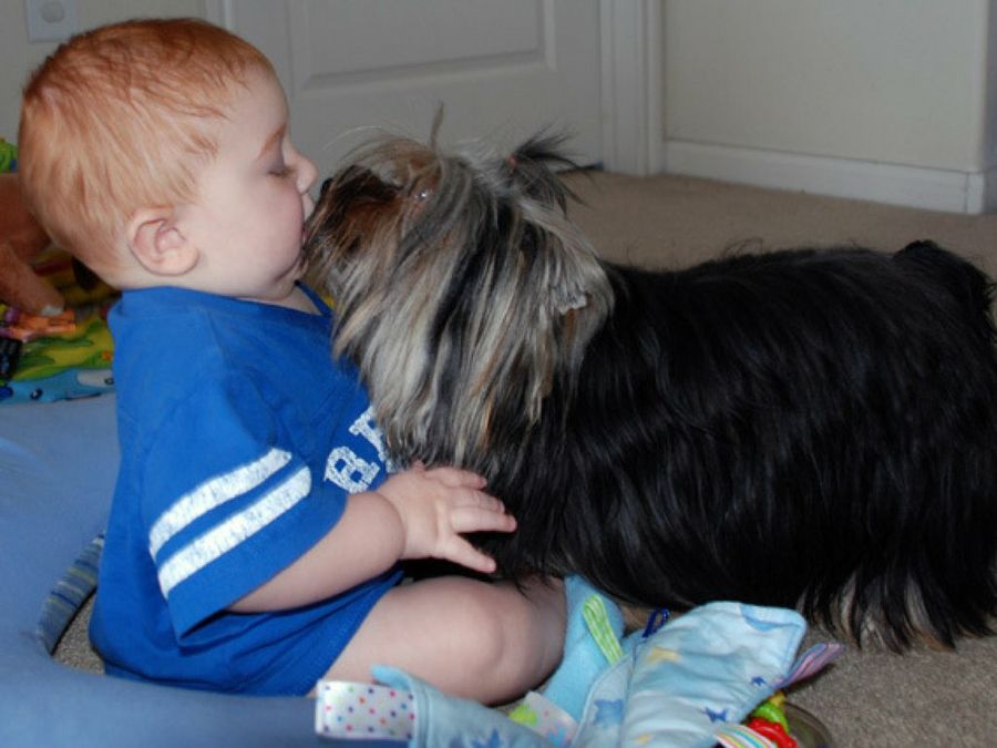 perro y bebé