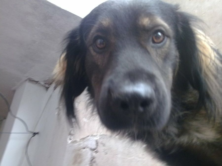 Imagen 7
