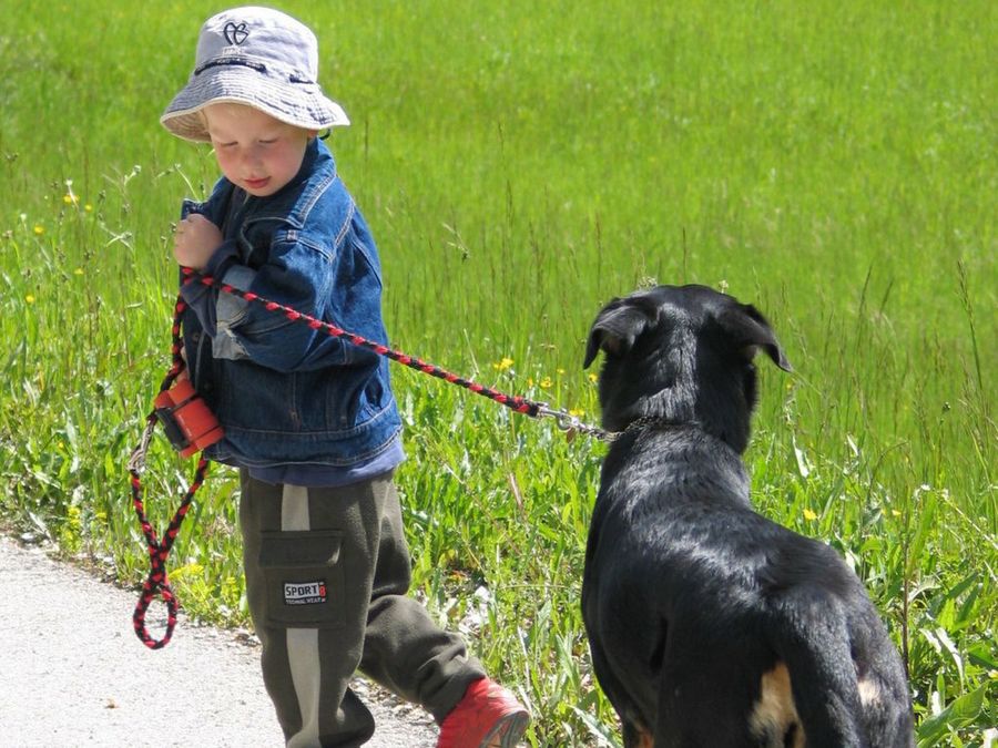Niño y perro