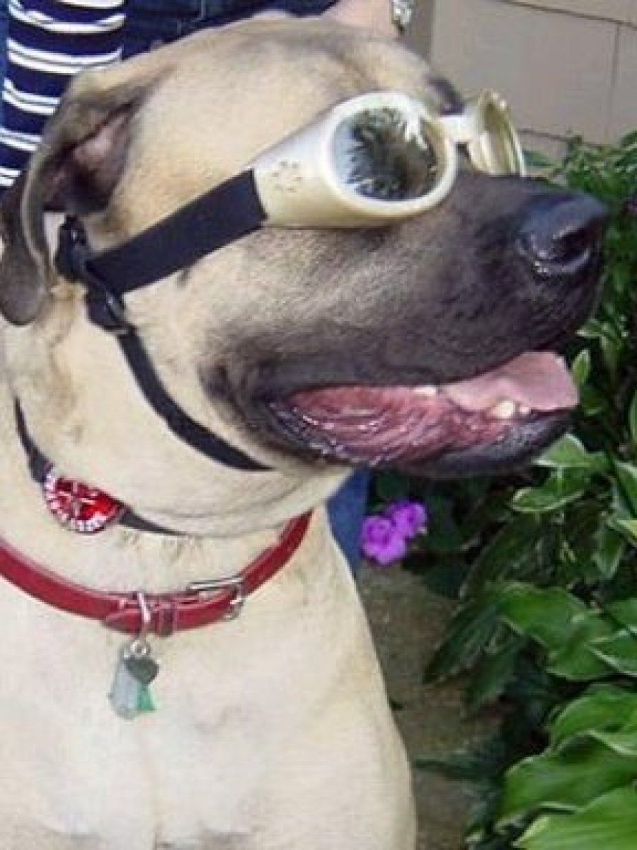 complementos contra el sol