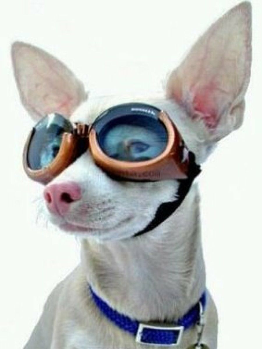 complementos contra el sol