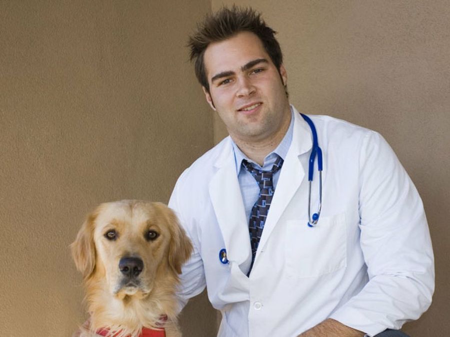 perro y veterinario
