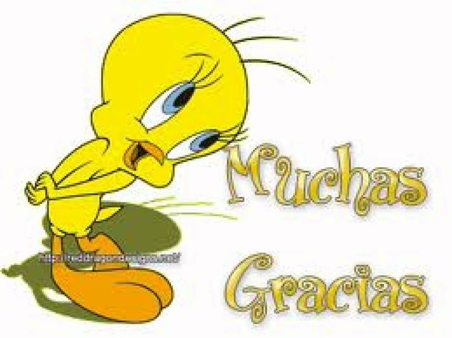 Imagen 6