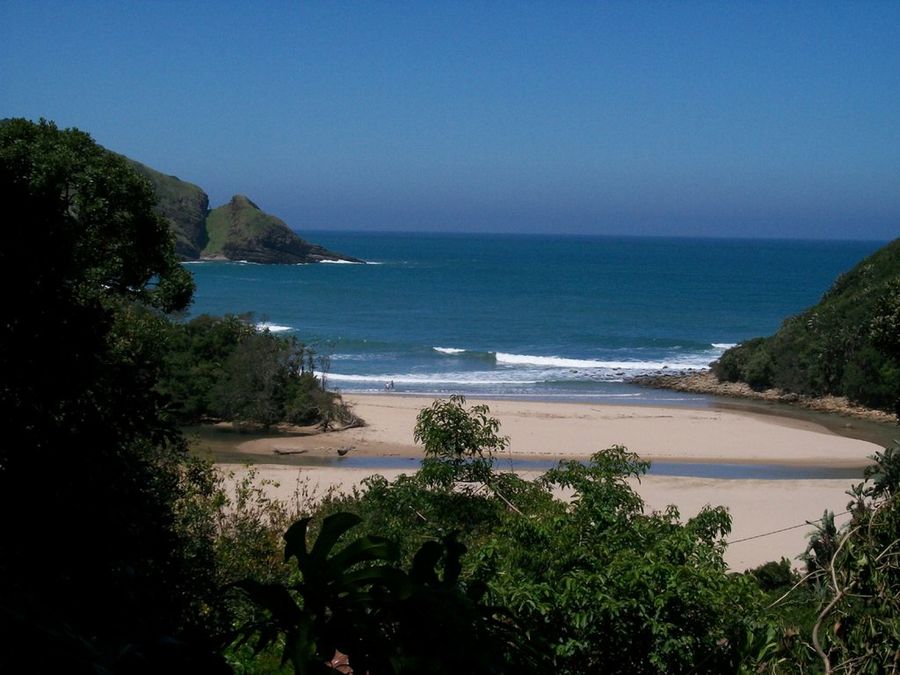 Imagen 2