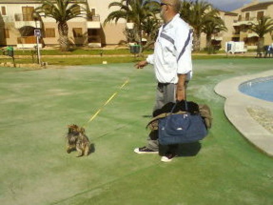 perro hotel