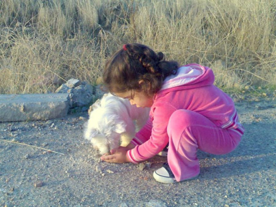 niña con un perro