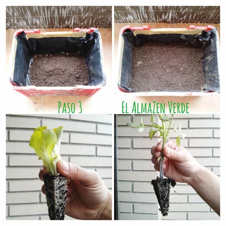 Imagen 2
