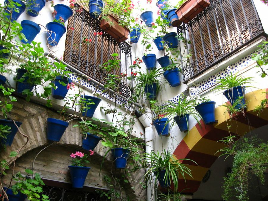 Macetas