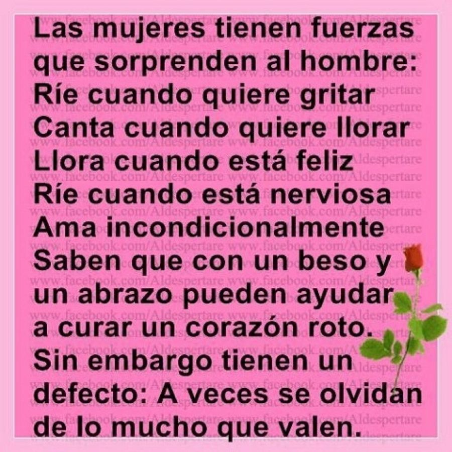 Imagen 12