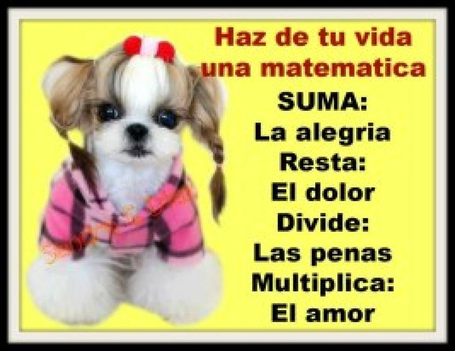 Imagen 34
