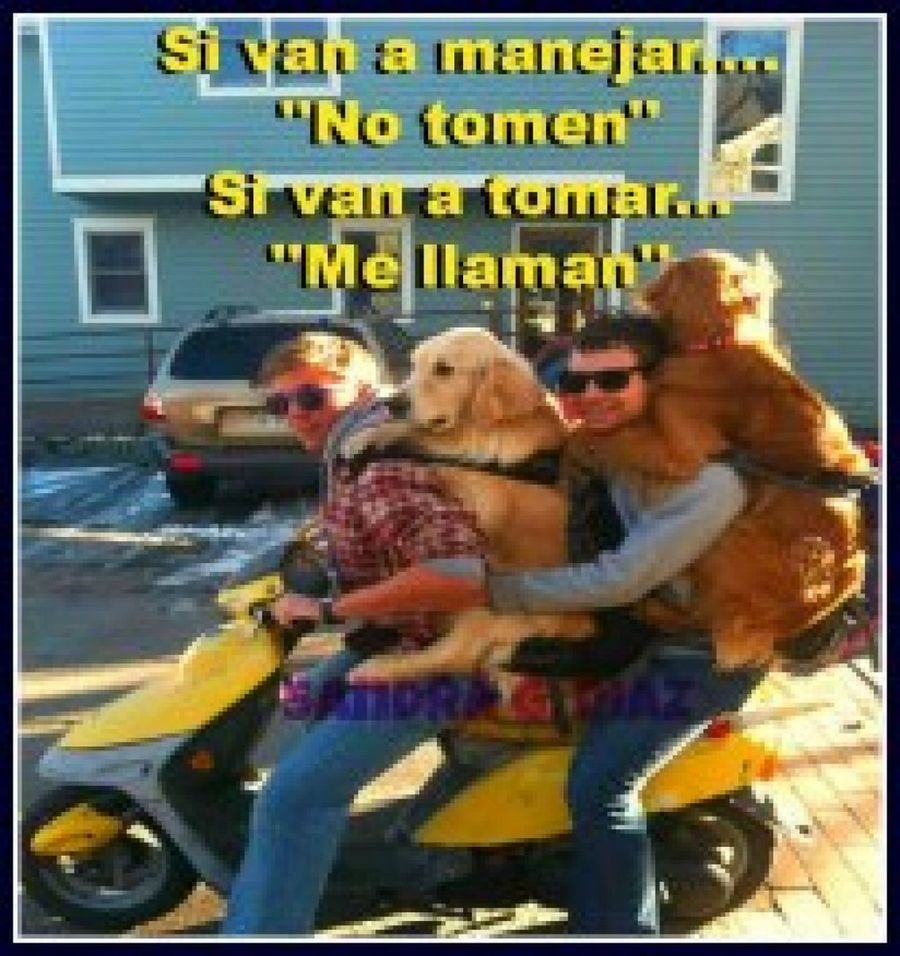 Imagen 46