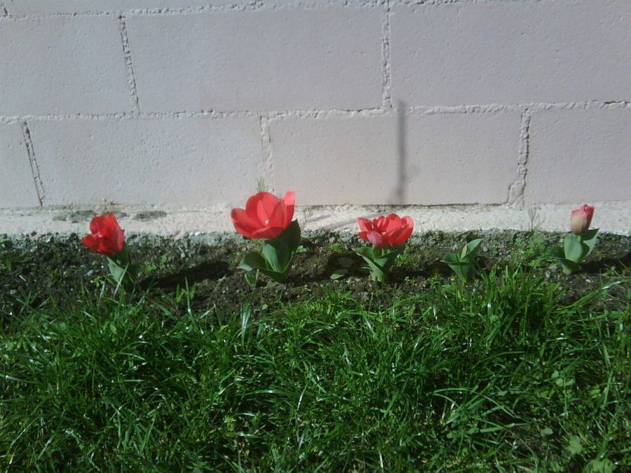 Imagen 10