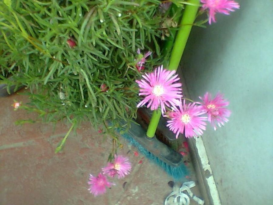 Imagen 3