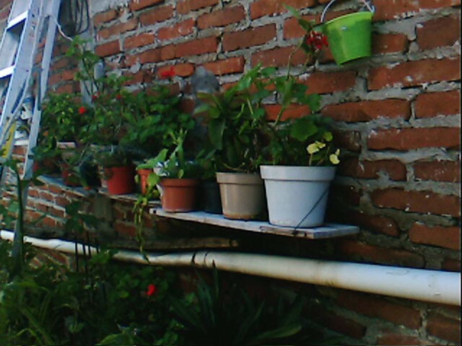 Imagen 20