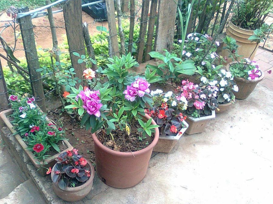 Jardín izquierda