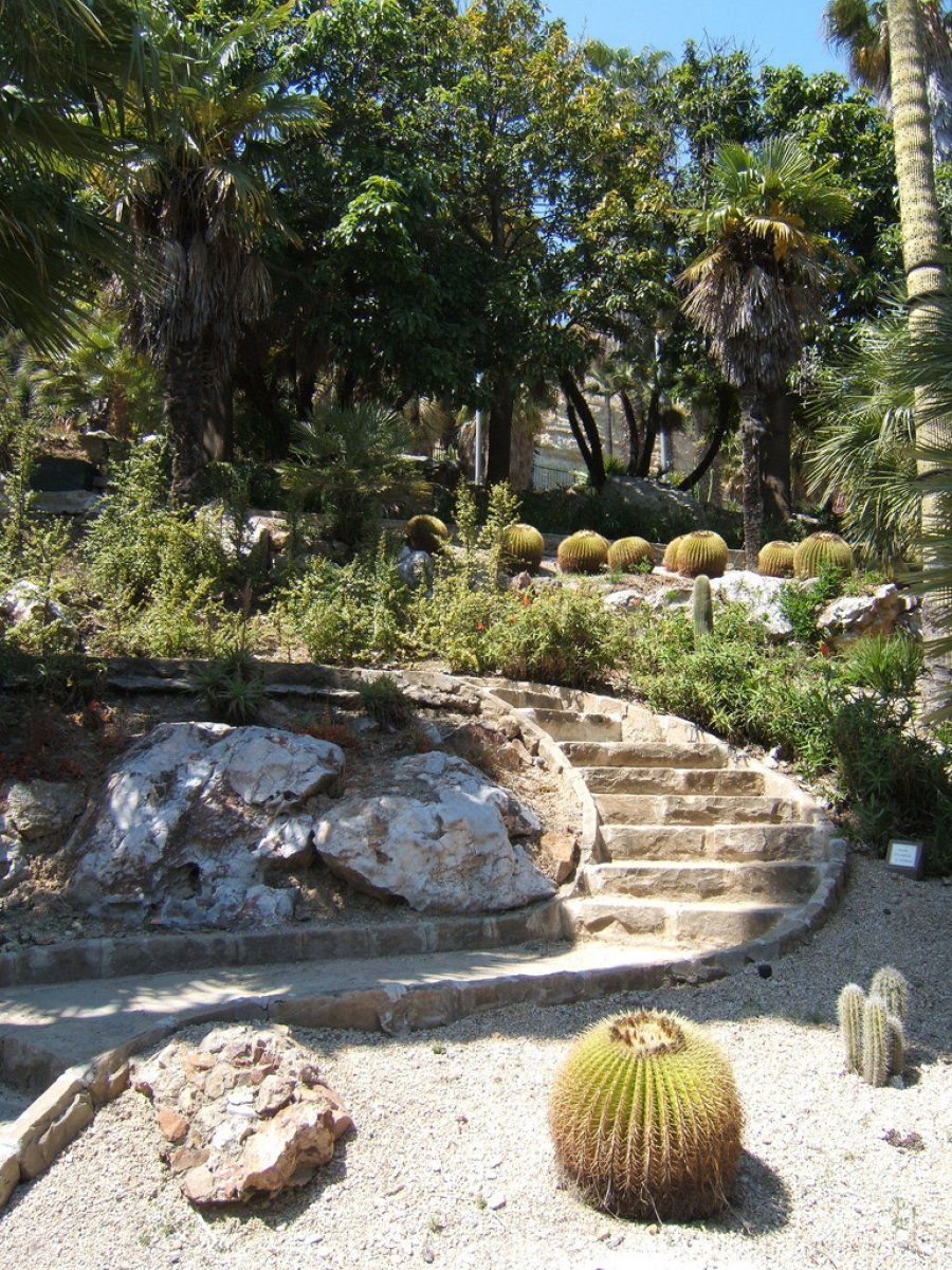 Jardín en pendiente. Condiciones adversas