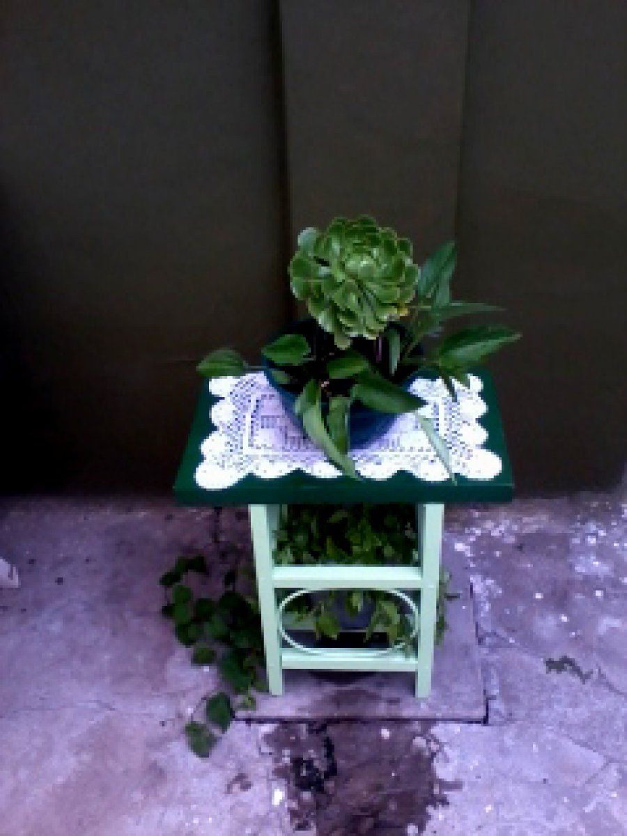 Imagen 4