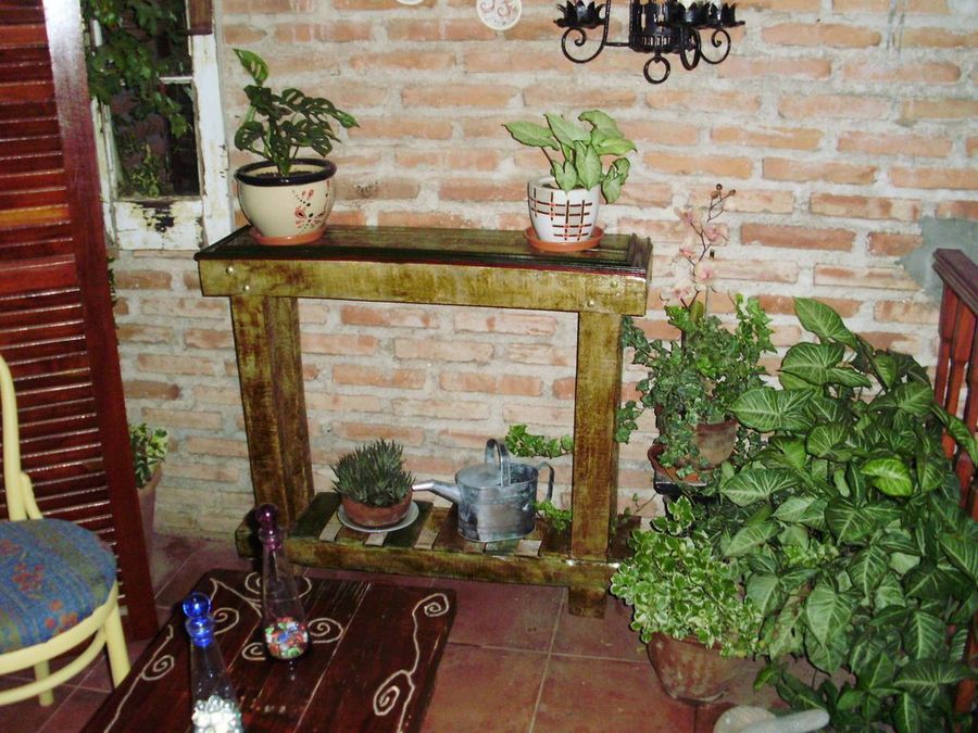 Imagen 5