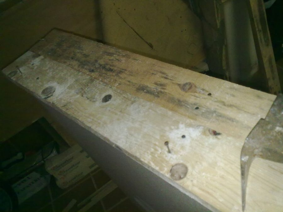 Imagen 3