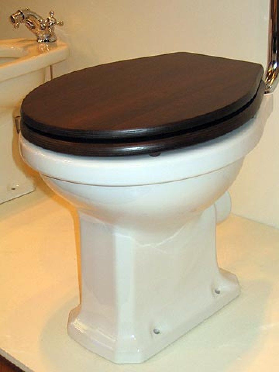 taza WC