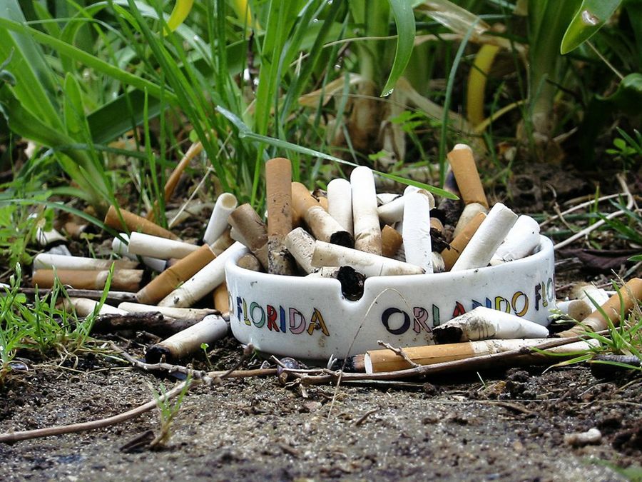 tabaco
