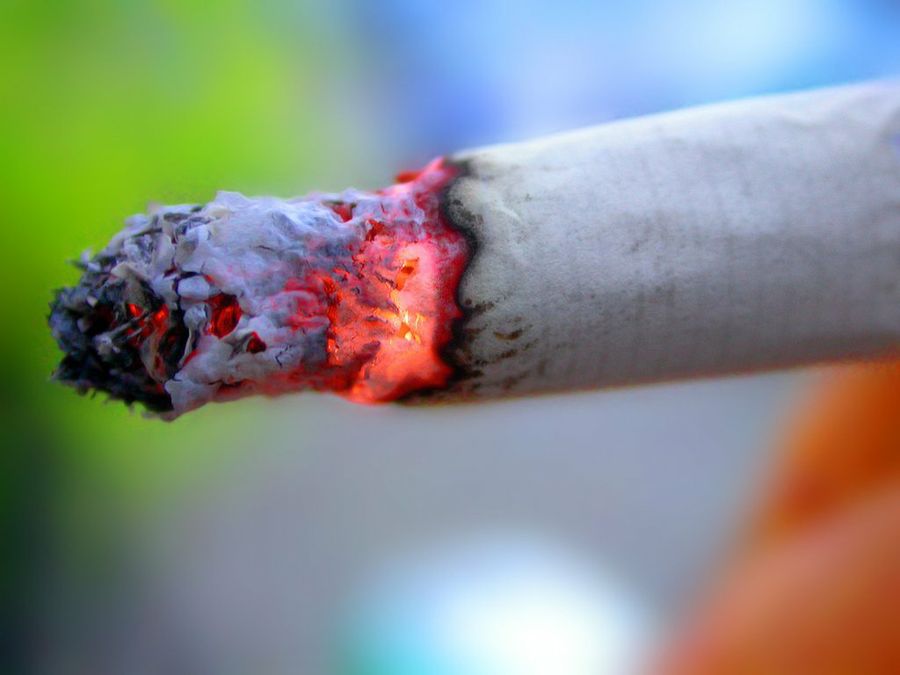 tabaco