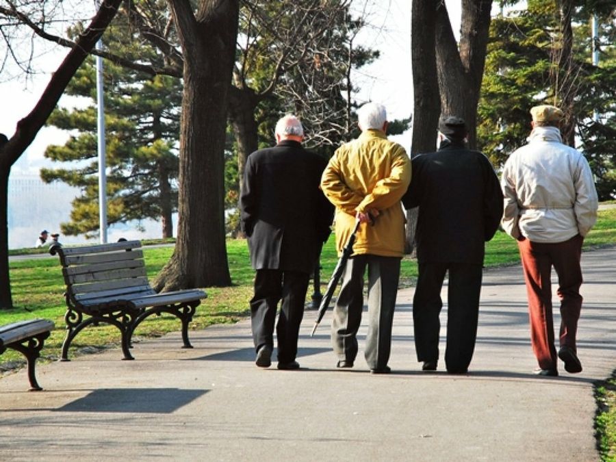 Hombres mayores paseando por el parque